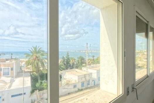 Duplex Port